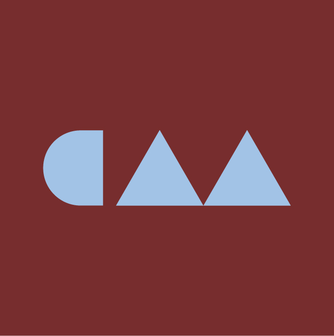 Case Study Icon