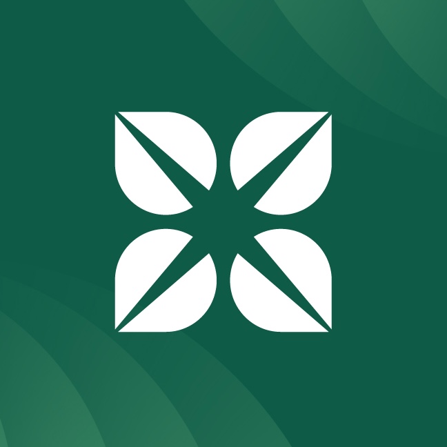 Case Study Icon